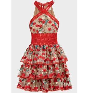 Bronx & Banco Ivanka Embroidered Dress Sz 6 Lace Trim Skirt Ruffles Floral Flowy